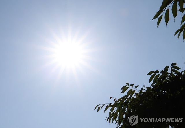 뜨거운 햇볕