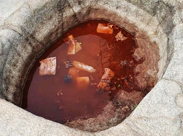 라면 국물에 쓰레기 버려진 관악산 웅덩이