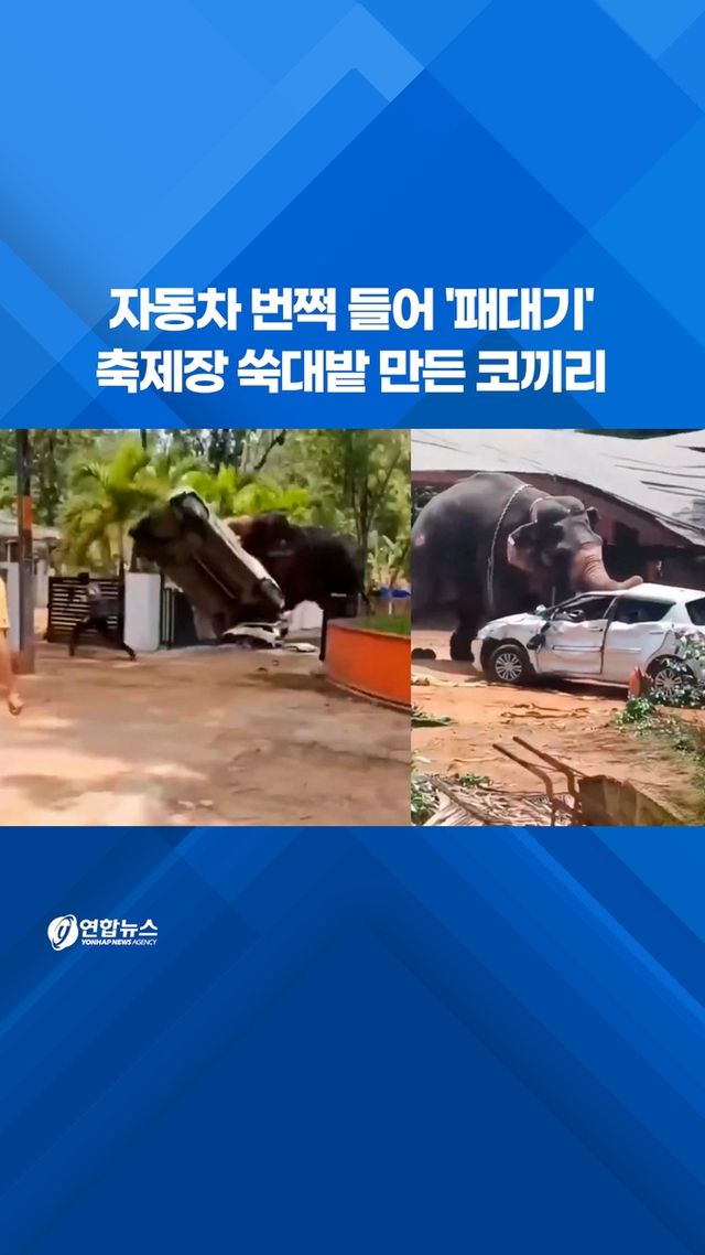 [쇼츠] 자동차 번쩍 들어 '패대기'…축제장 쑥대밭 만든 코끼리 - 2