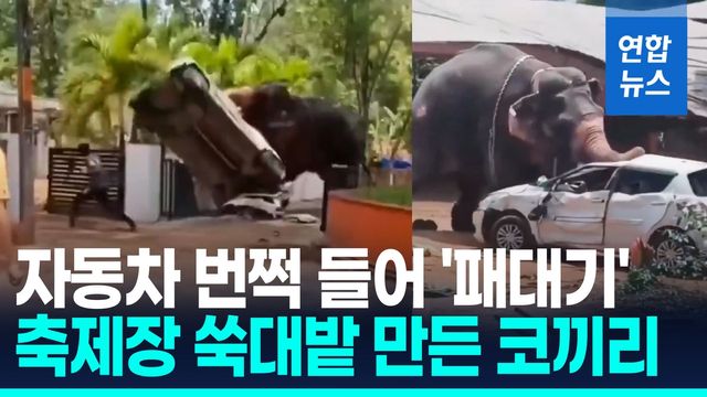 [영상] 자동차 집어던지고 무차별 돌진…인도 사원 축제서 코끼리 난동 - 2