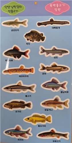 남한강 민물고기 스티커