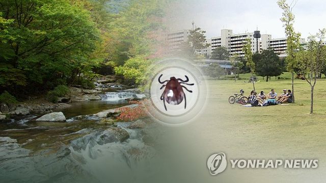 [연합뉴스TV 제공] ※ 기사와 직접 연관이 없는 사진입니다.