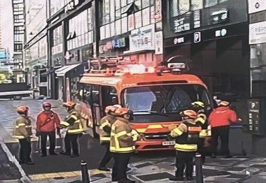 도심 멧돼지 포획 중인 119 대응단