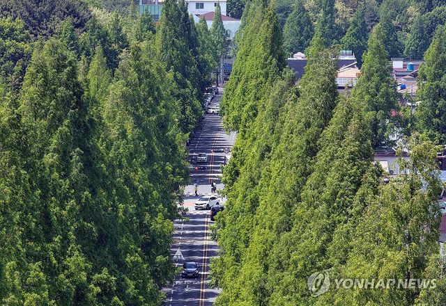 5월 푸르다…신록 계절
