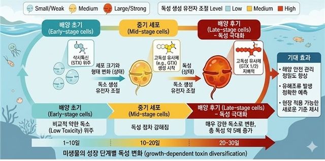 연구 모식도