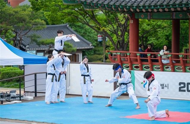 2025년 서울시 태권도 상설 공연