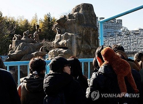 펀치를 보러 온 관람객들