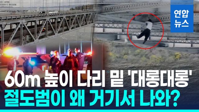 [영상] 아파트 20층 높이서 목숨 건 숨바꼭질…기막힌 차량 도둑의 최후 - 2