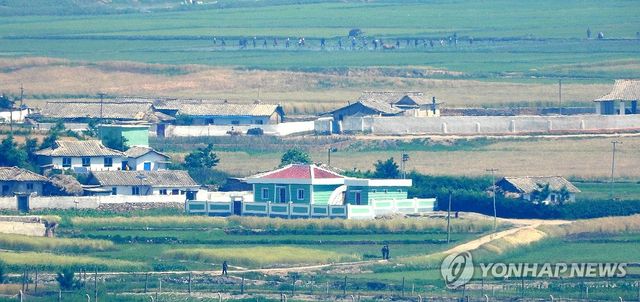 작년 6월 촬영된 북한 주민들의 모내기