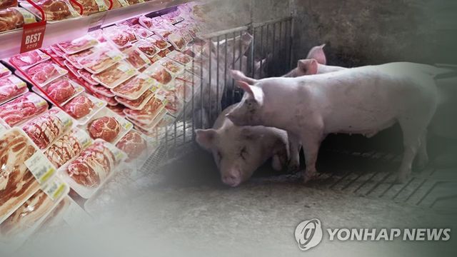 돼지고기 (CG)