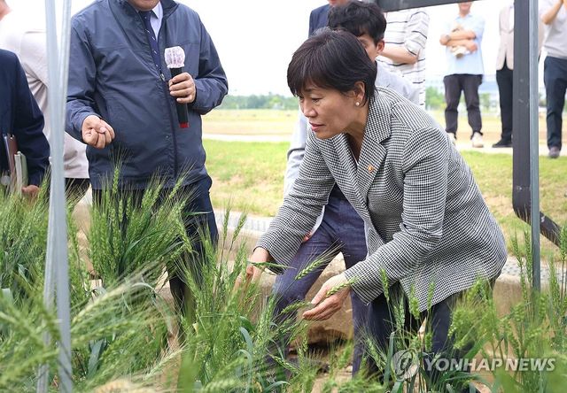 (서울=연합뉴스) 송미령 농림축산식품부 장관이 19일 전북 완주군 농촌진흥청을 방문해 영농형 태양광 실증 연구 성과를 점검, '영농형태양광법'의 시행과 관련한 현장 의견을 청취하고 있다. 2026.5.19 [농림축산식품부 제공. 재판매 및 DB 금지] photo@yna.co.kr