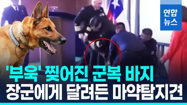 [영상] 주머니서 냄새? 해군 장성 바지 물어뜯은 칠레 마약탐지견 - 2