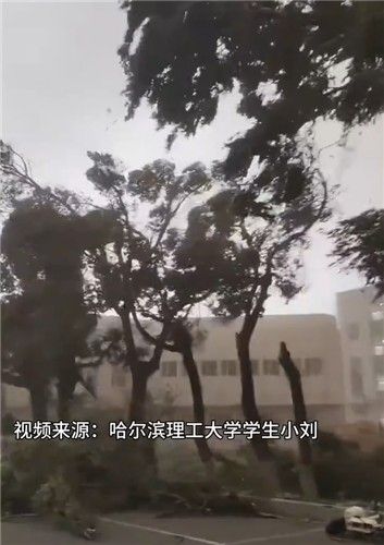 지난달 31일 중국 동북 지역 하얼빈에서 발생한 모래 폭풍