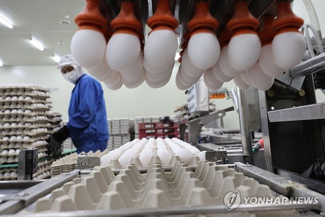 계란 수급 불안 대비해 수입한 미국산 신선란