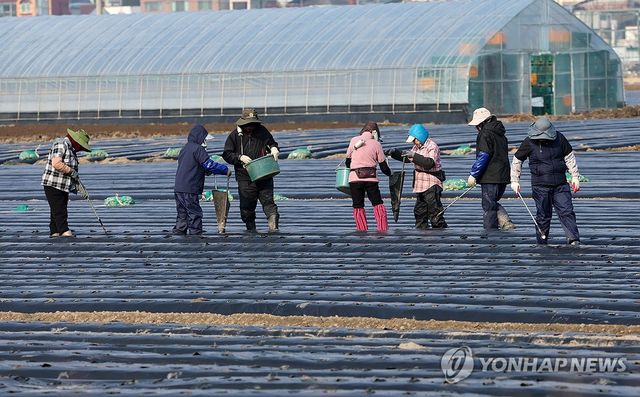 본격적인 농사 시작
