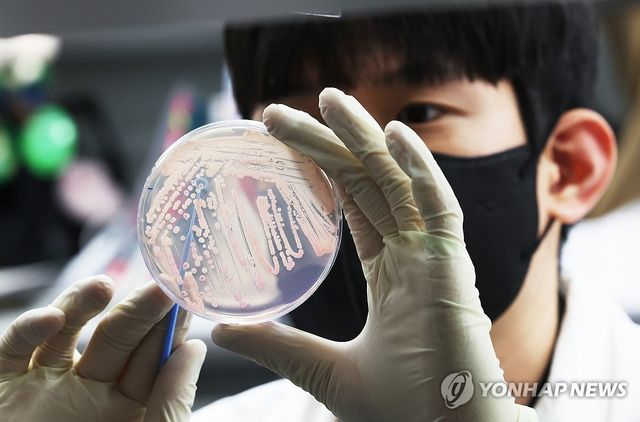 식중독균 배양 분리 작업