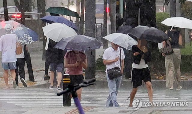 소나기에 우산 쓴 시민들