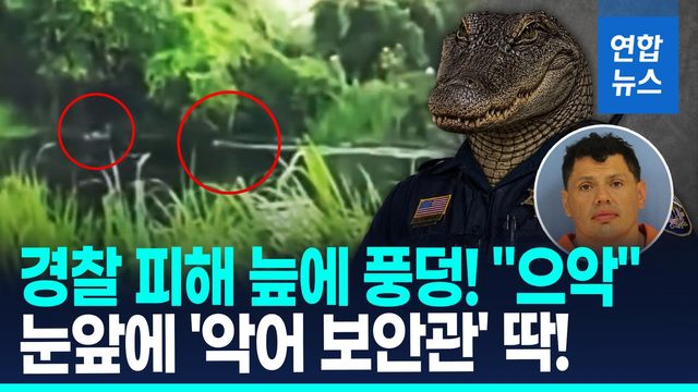 [영상] "악어가 범인 잡았네"…늪지 '풍덩' 경찰 피하려다 강적 만났다 - 2