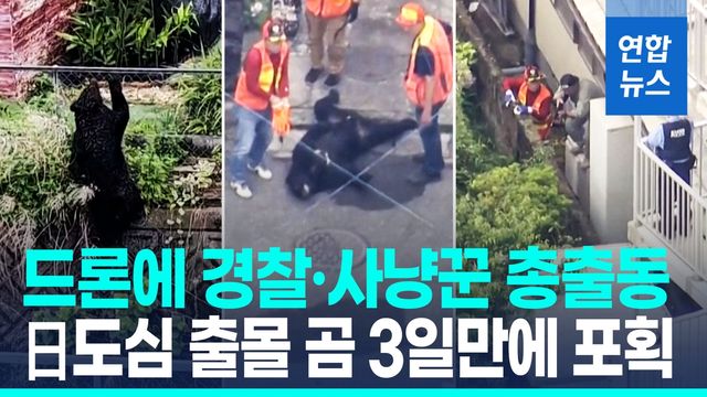 [영상] 日 도심 곰 출몰로 휴교까지…사흘 만에 잡았다 - 2