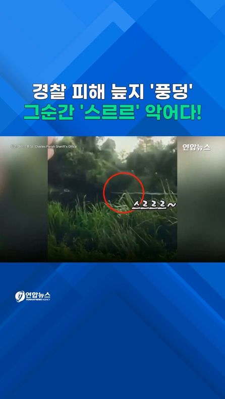 [쇼츠] 경찰 피하려 늪지 '풍덩'…때마침(?) 악어 '스르르' - 2