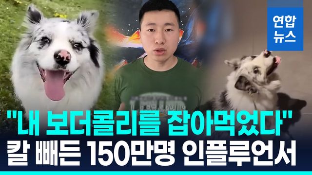 [영상] 반려견 끌고가 개고기로…"동물보호법 없나?" 들끓는 중국 - 2