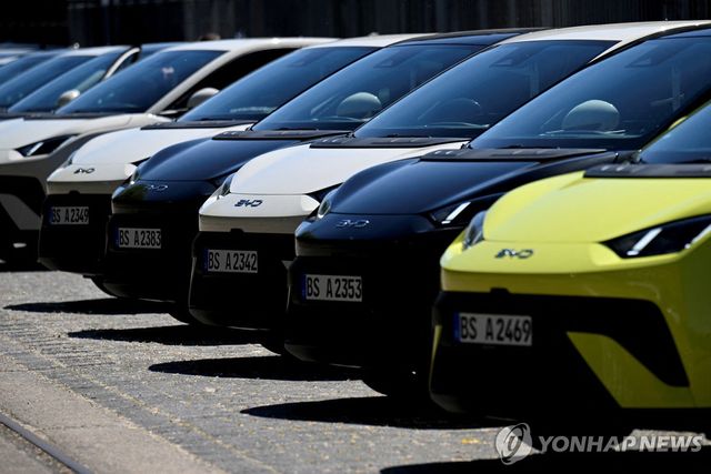 BYD 전기차