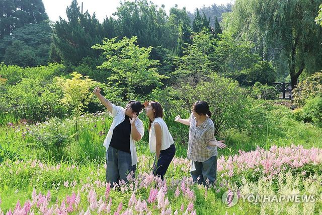 태안 천리포수목원에 여름꽃 만발