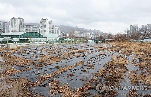 수도권 한 농지 너머로 아파트 단지 등이 들어선 모습