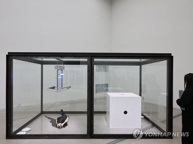 데이미언 허스트의 '천 년'