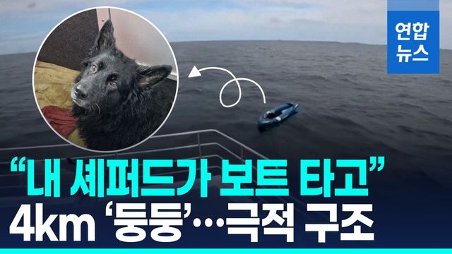 [영상] 고무 카약에 개만 '둥둥'…파도에 휩쓸려 망망대해 표류 반려견 - 2