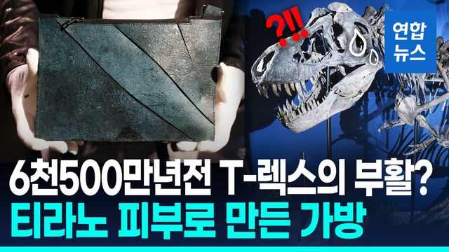 [영상] 6천만년 전 티라노 피부로 만든 핸드백?…"경매가 최대 9억원" - 2