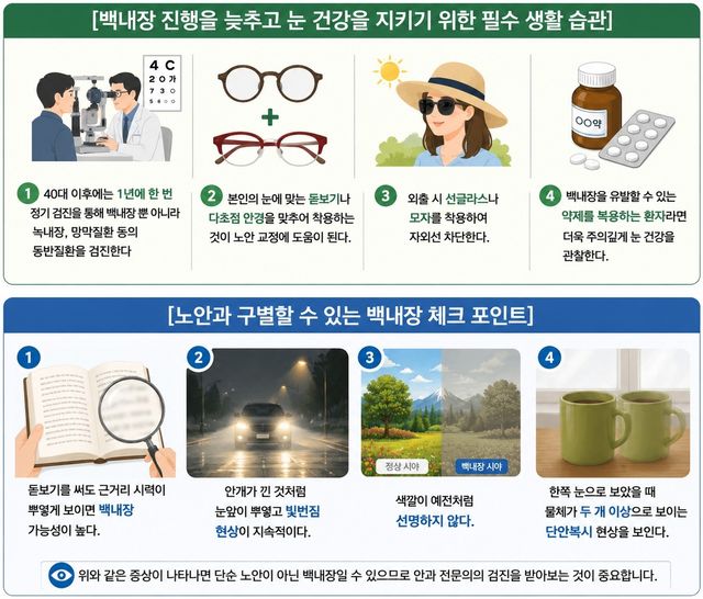 [자료:서울성모병원 안과 정소향 교수]