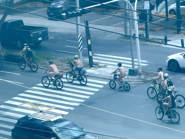 대표팀 숙소 가까운 대로를 벌거벗은 채 달리는 남성들