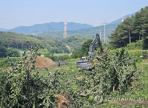 과수화상병으로 폐원 조치되는 과수 농가