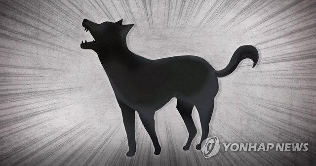 개 공격 (PG)