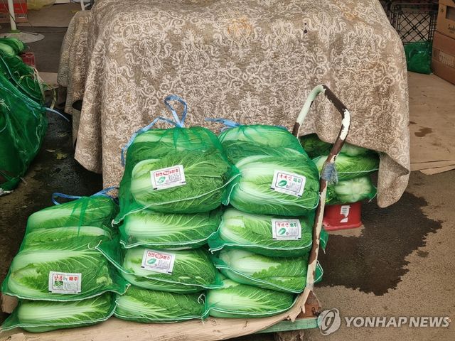 농산물 예시 이미지