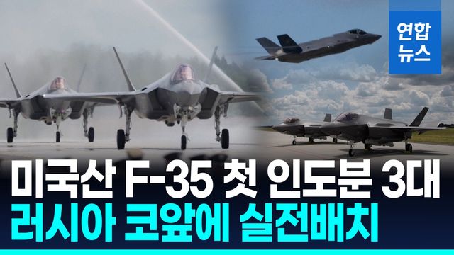 [영상] '나토 동부 최전선' 폴란드, 美 F-35 전투기 3대 첫 실전배치 - 2