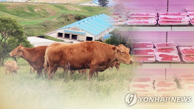 한우(CG)