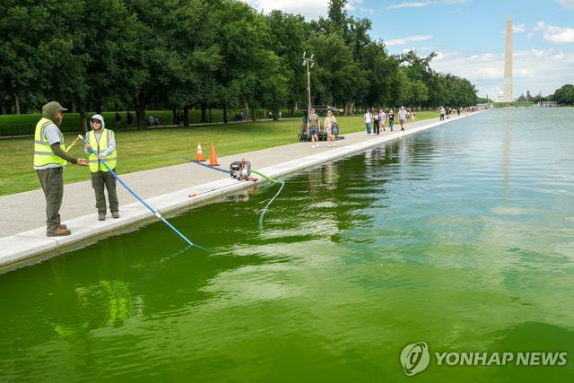 리플렉팅 풀에서 녹조 제거 작업하는 직원들