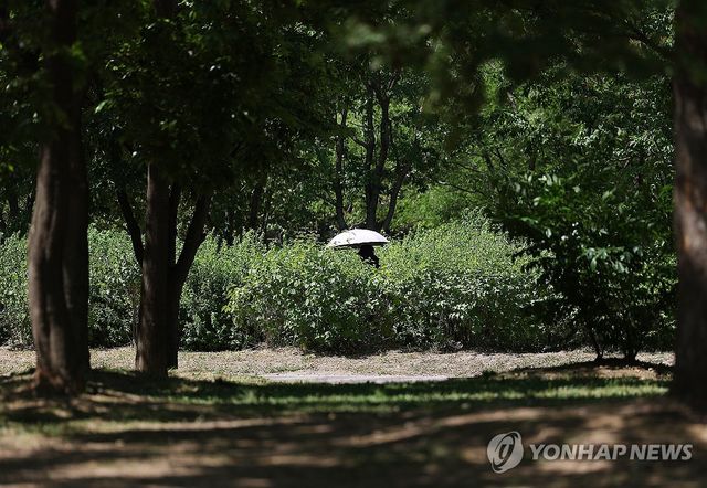더위 속 양산