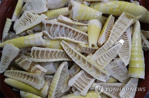 다듬어 놓은 죽순