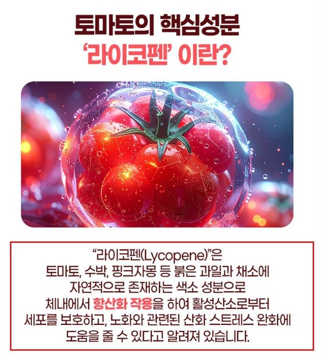 소비자 기만 광고