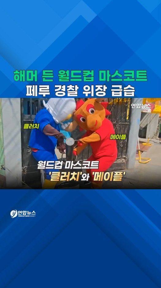 [쇼츠] 월드컵 마스코트로 위장 급습…페루 경찰의 마약범 검거 작전 - 2
