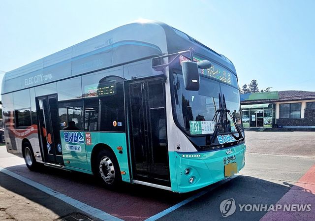 제주 옵서버스
