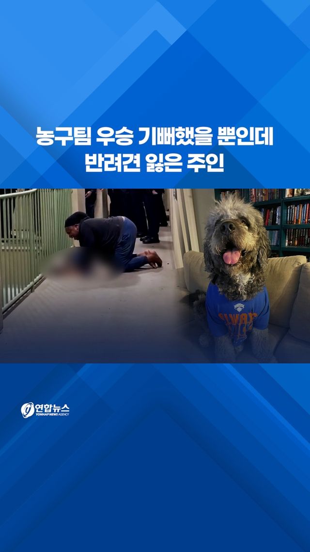 [쇼츠] 농구팀 우승 기뻐했을 뿐인데…반려견 잃은 주인 - 2