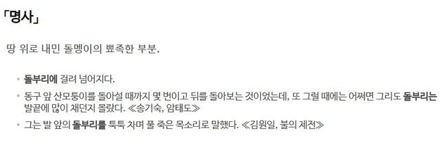 사전의 '돌부리' 정의