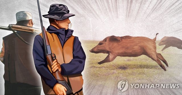 야생동물 멧돼지