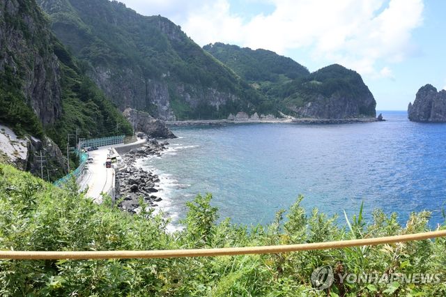 울릉 일주도로