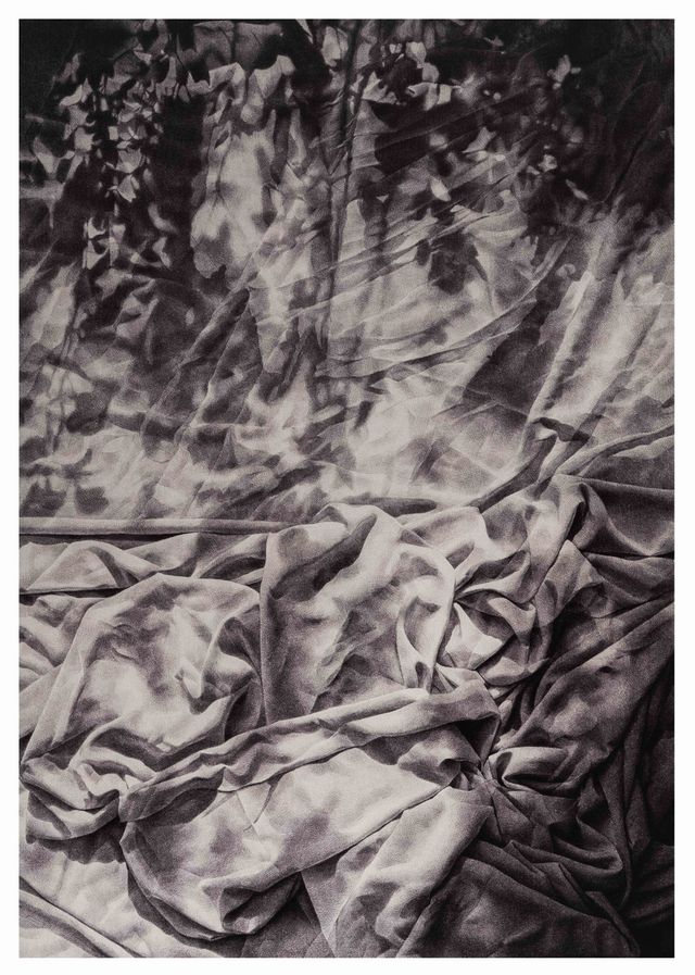 윈디 아프리아니 작 '인터레이스'