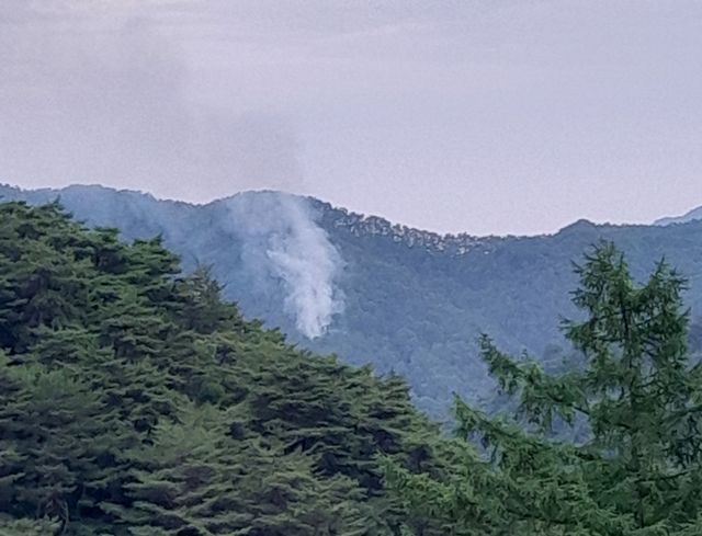 영양 산불 현장